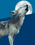 wolves003.gif